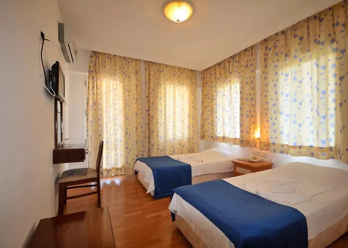 فندق Villamar إتْشميلير