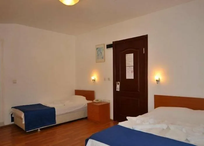 فندق Villamar إتْشميلير