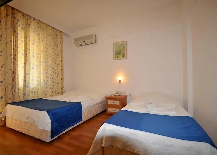 فندق Villamar إتْشميلير