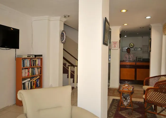 فندق Villamar إتْشميلير